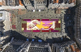 Bỉ: Khai mạc Thảm Hoa Brussels 2026