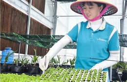 Thí điểm xây dựng mô hình 'Xã Thương mại điện tử'