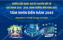 Chiến lược quốc gia về chuyển đổi số: Tầm nhìn đến năm 2045