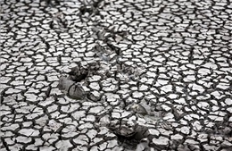 Malaysia đối mặt nguy cơ El Nino cường độ mạnh gây khô hạn và khói bụi