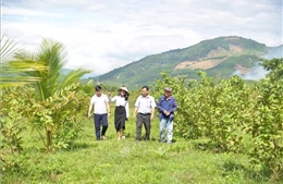 Nông trại Phạm Văn Đồng - 'địa chỉ đỏ' mở hướng phát triển du lịch xanh