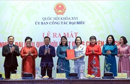 Phát huy vai trò nòng cốt của đại biểu Quốc hội chuyên trách ở địa phương
