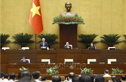Thông cáo báo chí số 12, Kỳ họp không thường lệ thứ Nhất, Quốc hội khóa XVI