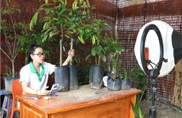 Mở rộng đầu ra nông sản nền tảng thương mại điện tử