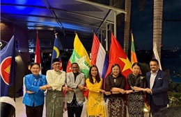 59 năm ASEAN: Tăng cường đoàn kết và kết nối qua ẩm thực - văn hóa
