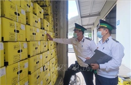 Nâng năng lực thông quan mặt hàng sầu riêng qua các cửa khẩu Lạng Sơn