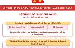 Quy định số 208-QĐ/TW: Hệ thống tổ chức của Đảng