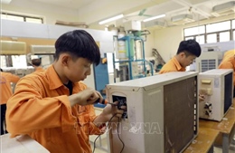 Nhân lực số - Nền tảng hạ tầng chất lượng quốc gia, thúc đẩy nâng cao năng suất