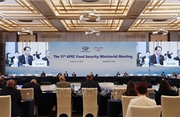 Hội nghị APEC về An ninh Lương thực: Việt Nam đề xuất 4 hướng hợp tác chiến lược