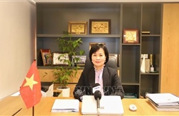 Kết nối tri thức - Kiến tạo nhân tài - Bài 2: Thiết lập hệ sinh thái giáo dục