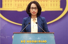 Việt Nam kiên quyết phản đối mọi hoạt động của nước ngoài đá Hải Sâm và đảo Ba Ba