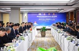 Thủ tướng Lê Minh Hưng làm việc với Đoàn đại biểu địa phương Nhật Bản