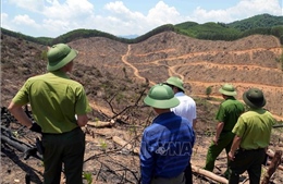 Vụ sai lệch hồ sơ, rừng tự nhiên 'chảy máu' tại Quảng Trị: Nút thắt vẫn chưa được xử lý