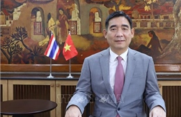 Dấu mốc lịch sử trong quan hệ Việt Nam - Thái Lan