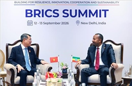 Thủ tướng Lê Minh Hưng gặp Thủ tướng Ethiopia