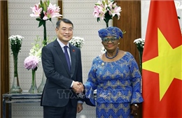 WTO tiếp tục đồng hành, hỗ trợ Việt Nam trong tiến trình hội nhập kinh tế quốc tế