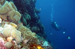 Indonesia và Mỹ công bố các khu bảo tồn biển mới ở Bắc Maluku