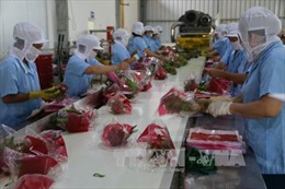 Đẩy mạnh xuất khẩu trái cây Việt Nam sang thị trường Trung Quốc