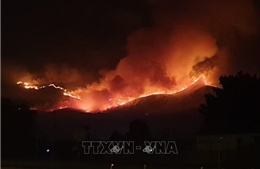 Khống chế cháy rừng, ít nhất 26 lính cứu hỏa thiệt mạng 