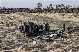 Indonesia tham gia điều tra vụ tai nạn máy bay Ethiopia