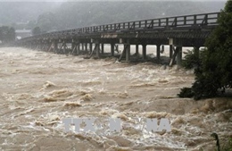 Gần 90 người chết và mất tích trong đợt mưa lớn kỷ lục tại Nhật Bản 