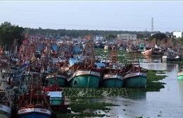 Chấm dứt ngay tình trạng tàu cá khai thác hải sản trái phép ở vùng biển nước ngoài 