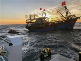 Sóng to đánh chìm tàu cá ở Bình Thuận, 5 thuyền viên mất tích