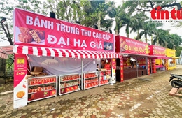 Tràn lan bánh Trung thu &#39;đại hạ giá&#39;, nhưng vắng người mua