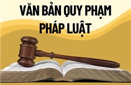 Người đứng đầu có thể bị truy cứu trách nhiệm hình sự nếu ban hành văn bản trái pháp luật