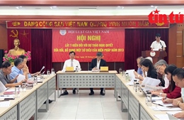 Hội Luật gia Việt Nam tích cực tham gia đóng góp ý kiến sửa đổi Hiến pháp