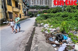 Đất quy hoạch làm trường học tại Hà Nội bị bỏ hoang, đổ trộm rác thải