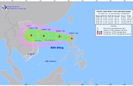 Chủ động ứng phó với áp thấp nhiệt đới phát triển thành bão số 5