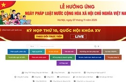 Cổng Pháp luật quốc gia ra mắt phiên bản mới ngày 7/11