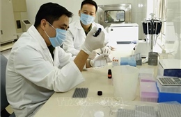 Hoàn thiện pháp luật về giám định tư pháp để nâng cao hiệu quả tố tụng