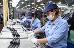 Giải ngân vốn FDI 11 tháng năm 2025 đạt 23,6 tỷ USD