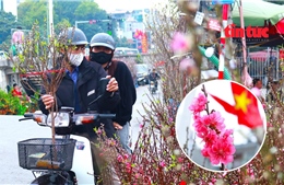 Chợ hoa Quảng Bá ngập tràn sắc xuân, người dân Hà Nội nô nức ghé thăm