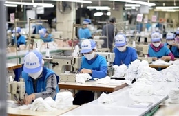 Thu nhập bình quân của người lao động năm 2025 đạt 8,4 triệu đồng/tháng