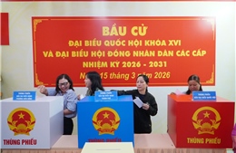 Những điều cử tri cần lưu ý khi tham gia bỏ phiếu