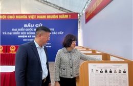 Những quy định cử tri cần biết để phiếu bầu cử hợp lệ