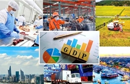 Cải cách thủ tục hành chính, mạnh tay cắt giảm điều kiện kinh doanh