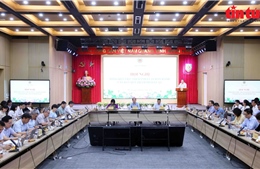 Khắc phục tình trạng chồng chéo trong hệ thống văn bản quy phạm pháp luật