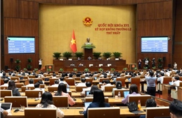Đẩy mạnh chuyển đổi số, ứng dụng  AI trong công tác phổ biến, giáo dục pháp luật