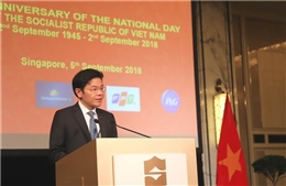 Nhiều hoạt động kỷ niệm 73 năm Quốc khánh Việt Nam tại Singapore, Ấn Độ và Séc