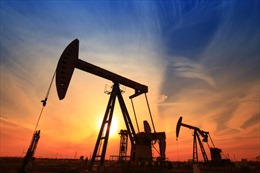 Dự trữ dầu của Mỹ thấp kỷ lục tạo đà cho giá dầu châu Á đi lên