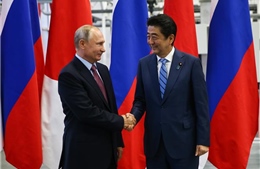 Nga, Nhật Bản thảo luận chương trình kinh tế chung trên các đảo tranh chấp