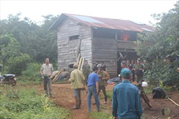 Đắk Nông: Hơn 507ha rừng giao cho Công ty Long Sơn quản lý bị xóa trắng