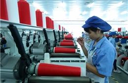 Gần 80% doanh nghiệp châu Âu đánh giá EVFTA tăng tính cạnh tranh cho Việt Nam