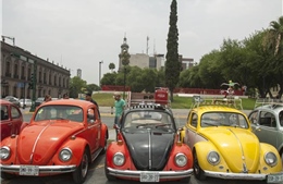 Volkswagen sẽ chấm dứt chế tạo dòng xe hơi Beetle