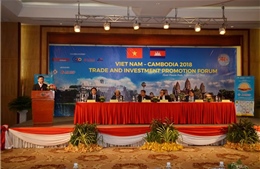 Diễn đàn Xúc tiến thương mại, đầu tư Việt Nam - Campuchia 2018