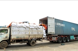 Xây dựng chiến lược đa dạng hóa sản phẩm để phân tán rủi ro